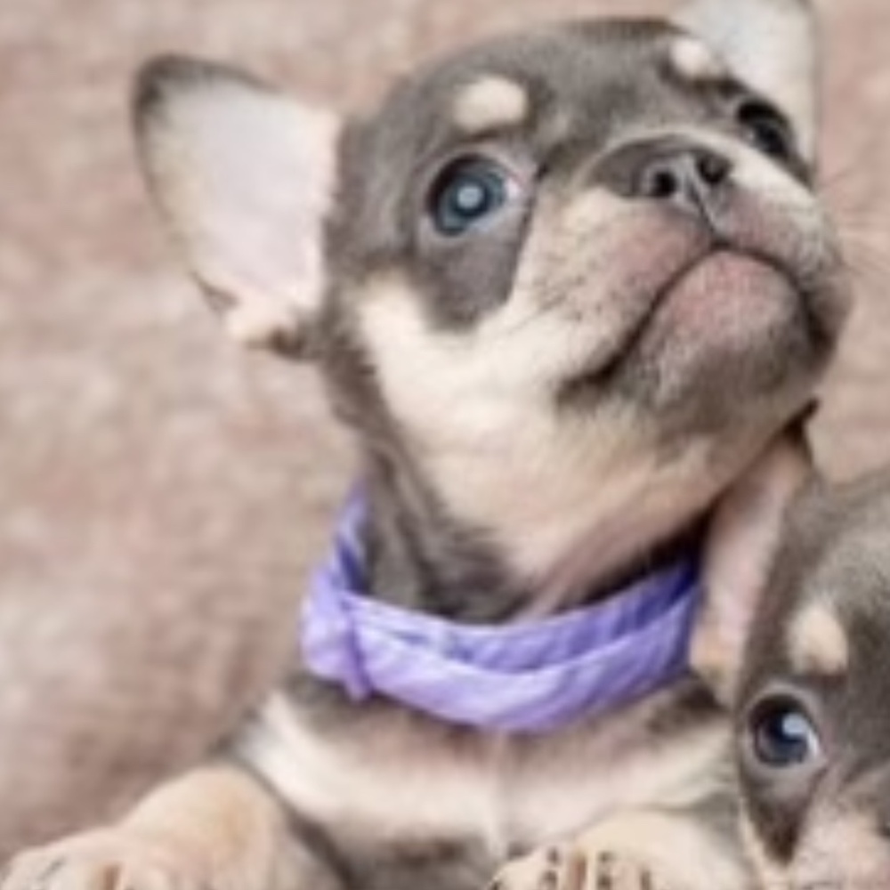 Meet your Posher, Kateri